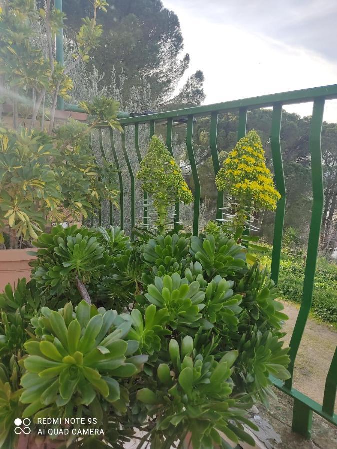 B&B Borgo Pileri Mazzarino Dış mekan fotoğraf